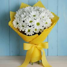 Букет цветов из:  Хризантемы в Клявлино