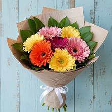 Букет цветов из:  Герберы в Клявлино