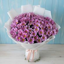 Букет цветов из:  Хризантемы в Клявлино