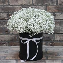 Цветочная композиция из Гипсофила в шляпной коробке в Клявлино