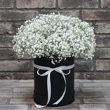 Цветочная композиция из Гипсофила в шляпной коробке в Клявлино
