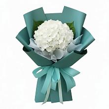Букет цветов из:  Гортензия #REPLACE_PRED# Клявлино